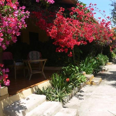 Finca Hotel Predio Son Serra 캔 피카폴트 외부 사진