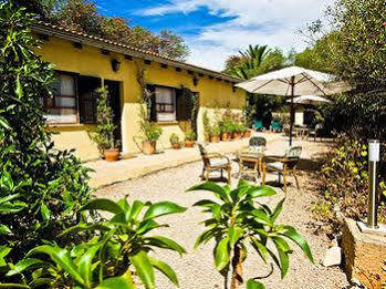 Finca Hotel Predio Son Serra 캔 피카폴트 외부 사진