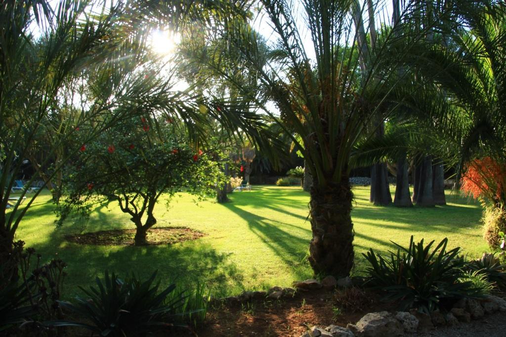 Finca Hotel Predio Son Serra 캔 피카폴트 외부 사진